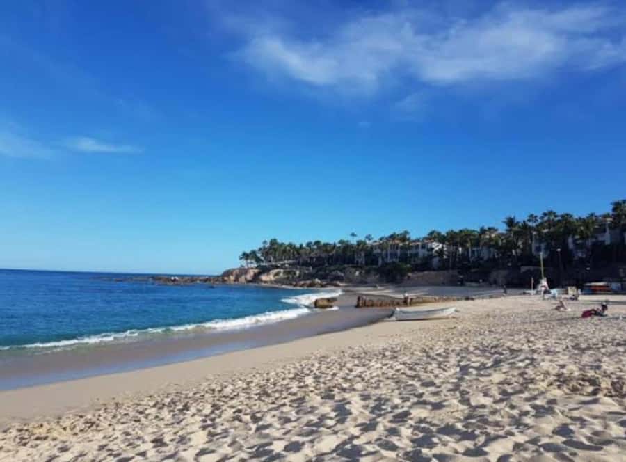 From Los Cabos: La Palmilla Beach Time & Drinks - Scenic Drive from San José del Cabo and Cabo San Lucas