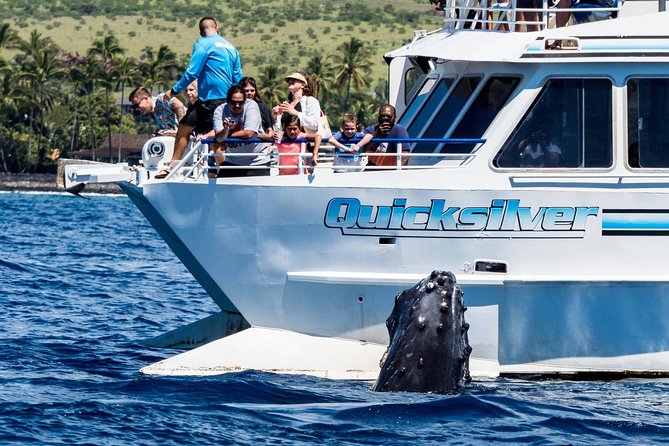 From Maalaea: Whale Watching Tour Aboard the Quicksilver - The Tours Itinerary Focuses on Whale Encounters and Education