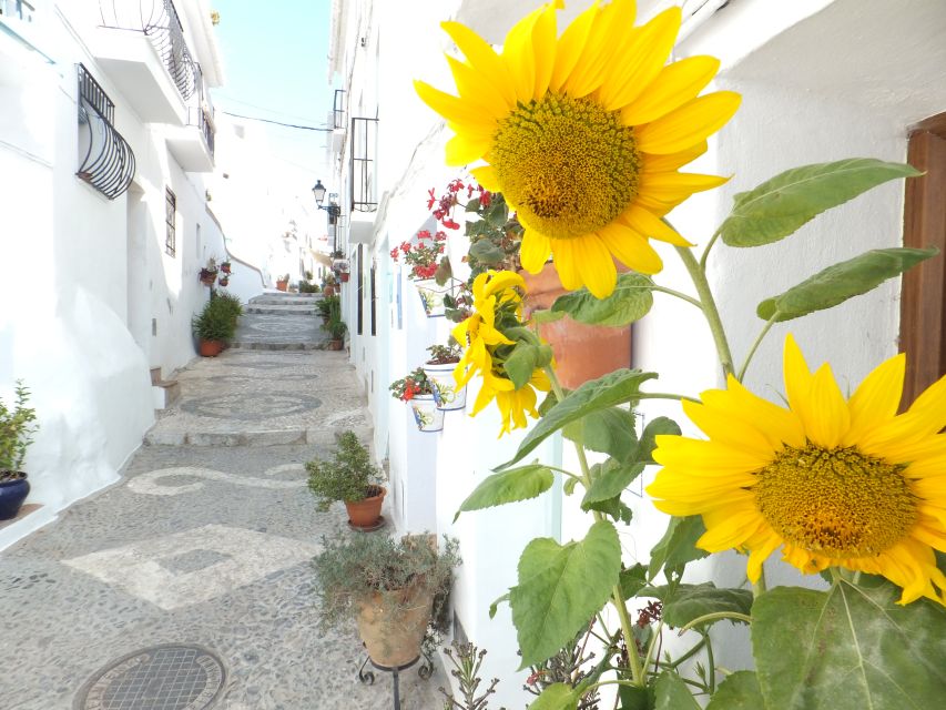 From Málaga: Frigiliana Hiking Tour with Wine & Appetizers - Discovering Natural Beauty in Sierra Alhama and Higueron Gorge