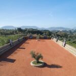 From Málaga: Ronda Experience with oil tasting - The Olive Oil Tasting Experience: How Experts Detect Flavors