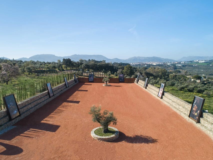 From Málaga: Ronda Experience with oil tasting - The Olive Oil Tasting Experience: How Experts Detect Flavors