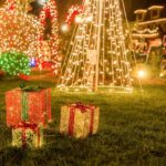 From Manhattan: Dyker Heights Holiday Bus Tour - Walking Tours in Brooklyn’s Festive Neighborhoods