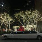 From Manhattan: Private Brooklyn Christmas Tour by Limousine - Starting From Manhattan: Private Transportation in a Luxury Limousine