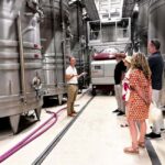 From Marseille: Wine and Scenery around Aix-en-Provence - Visiting Three Distinct Vineyards in Provence