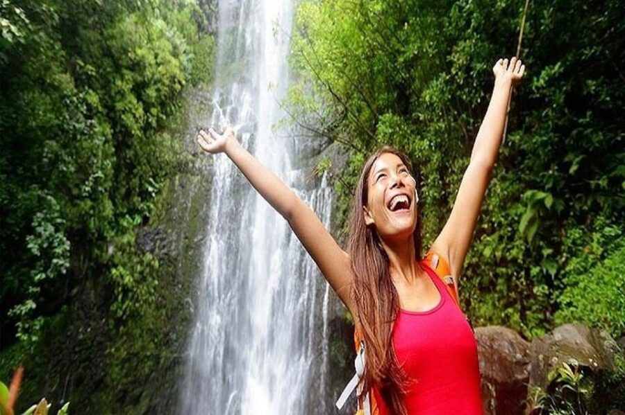 From Maui: Road to Hana Rainforest and Waterfall Experience - Exploring the Top Stops: From Waterfalls to Black Sand Beach