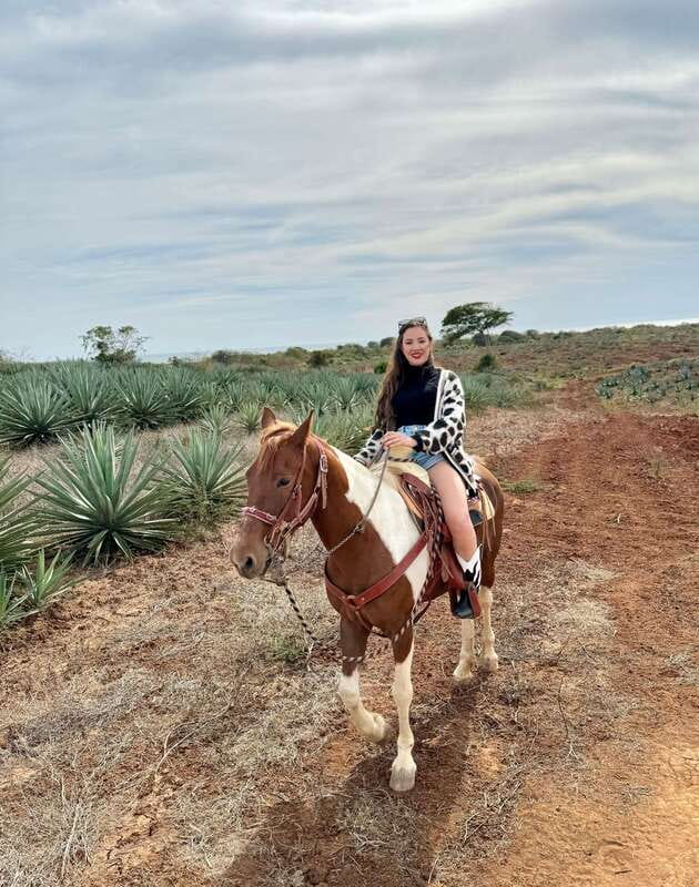 From Mazatlan: ATV & Horse Back riding with Tequila Tasting - How the Tour Starts: Pickup and Introduction to the Adventure