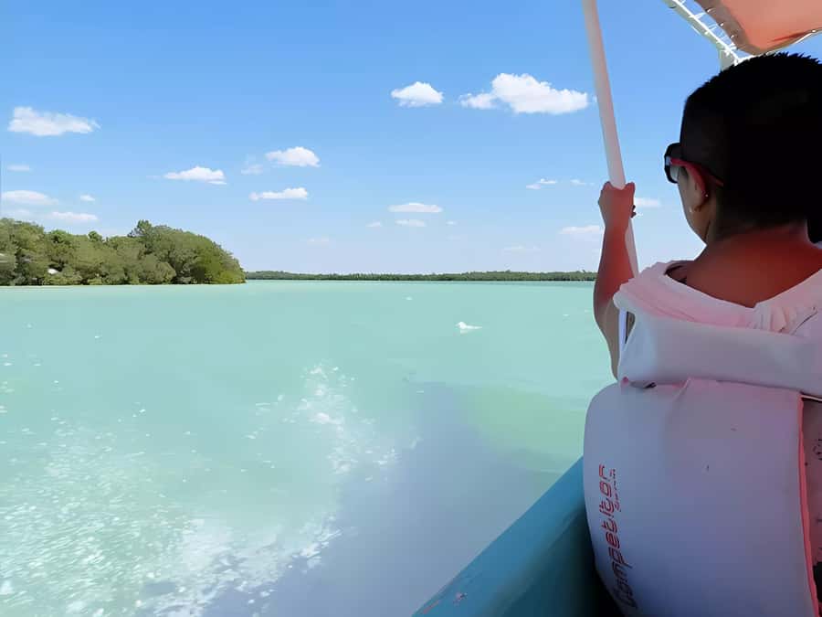 From Mérida: Celestún, flamingos, and the beach - Departure and Logistics from Mérida