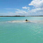 From Merida: Isla Columpios & Progreso - Starting Point and Transportation Logistics from Mérida