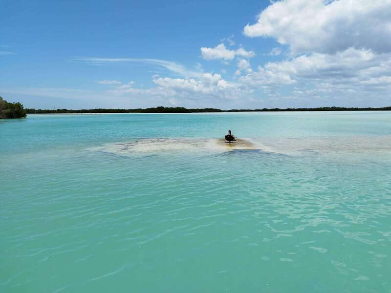 From Merida: Isla Columpios & Progreso - Starting Point and Transportation Logistics from Mérida