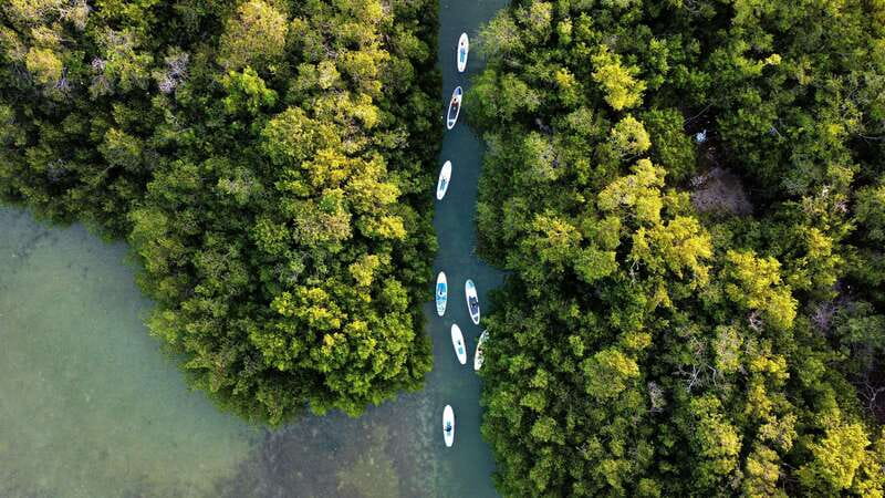 From Mérida: Paddel board, Sunshine and beach - Departure from Mérida and Transport Details