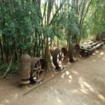 From Merida: Uxmal, Hacienda Yaxcopoil and Cenote with Lunch - Discovering Uxmal: The Jewel of Mayan Architecture