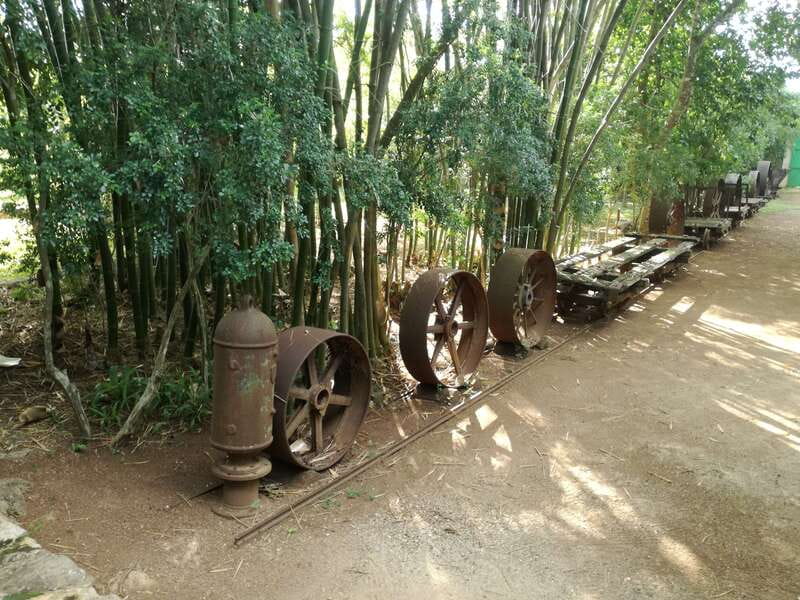 From Merida: Uxmal, Hacienda Yaxcopoil and Cenote with Lunch - Discovering Uxmal: The Jewel of Mayan Architecture