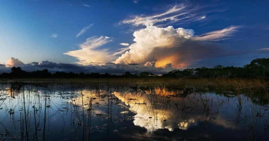 From Miami: Everglades at Night with Guided Airboat Tour - Transportation from Miami to Sawgrass Recreation Park