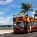 From Miami: Open-Top Bus Tour, Bay Cruise, & Everglades Adventure - Wildlife and Nature in the Everglades