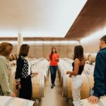 From Milan: Lake Iseo, Bergamo & Franciacorta Wine Tour - Scenic Ferry Ride on Lake Iseo with Views of Monte Isola