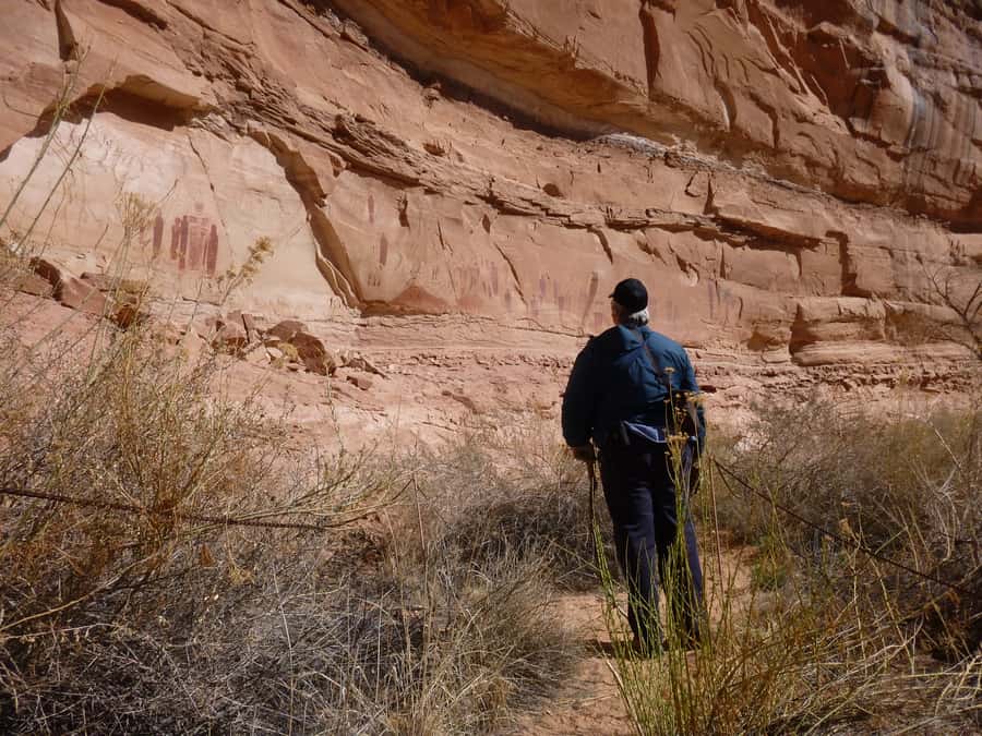 From Moab: 1-Day Horseshoe Canyon Exploration - The Hike into Horseshoe Canyon: Physical Challenge and Natural Beauty