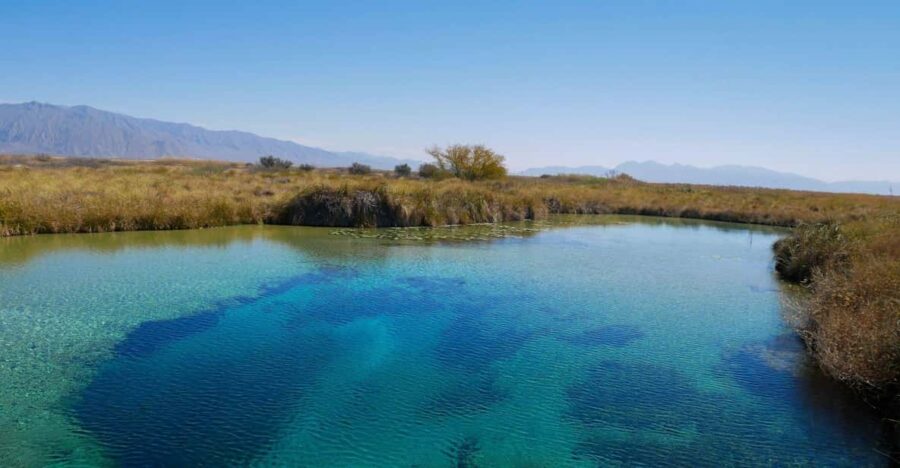 From Monterrey: Tour a Cuatro Ciénegas one day tour - Departure from Monterrey and Travel Logistics