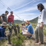 From Montpellier: Half-Day Vineyard & Pic Saint-Loup Tour - Visiting Two Unique Vineyards with Different Styles
