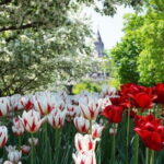 From Montreal: Private Ottawa Full Day Tour - Exploring Ottawas Most Famous Sites