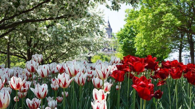 From Montreal: Private Ottawa Full Day Tour - Exploring Ottawas Most Famous Sites