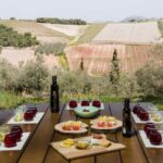 From Nafplion: Argos Castle & Olive Tasting Experience - Exploring the Olesophia Olive Grove and Traditional Atmosphere