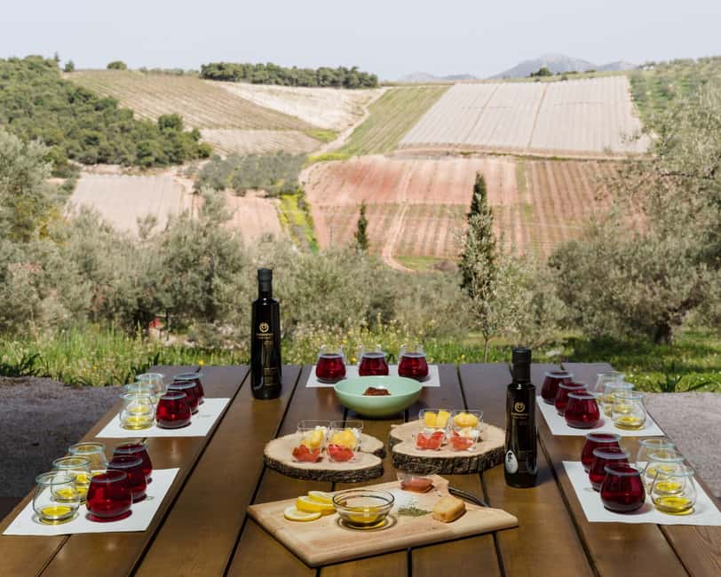 From Nafplion: Argos Castle & Olive Tasting Experience - Exploring the Olesophia Olive Grove and Traditional Atmosphere