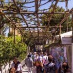 From Naples: Amalfi and Positano Boat Tour with Free Time - Value and Cost Considerations