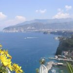 From Naples: Pompeii and Sorrento Full-Day Tour - Tasting Pizza and Drinks in Italy’s Food Capital