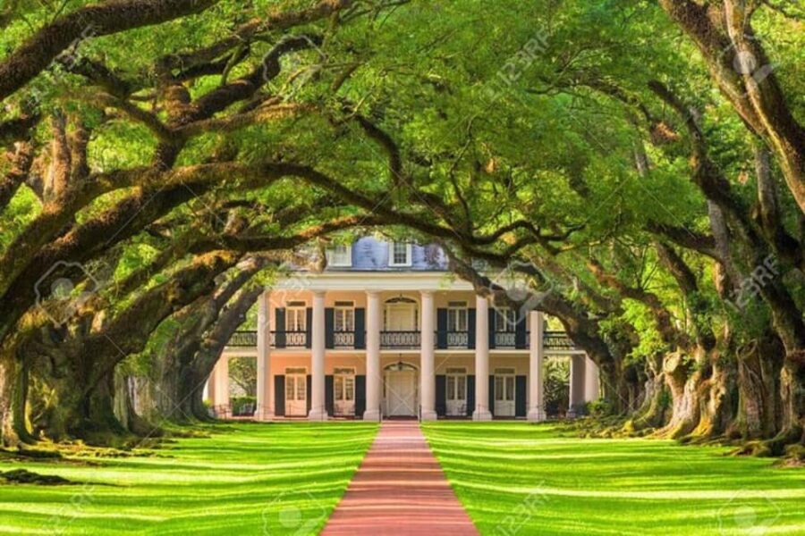 From New Orleans: Oak Alley and Laura Plantation Guided Tour - Exploring Oak Alleys Iconic Oak Lane and Mansion