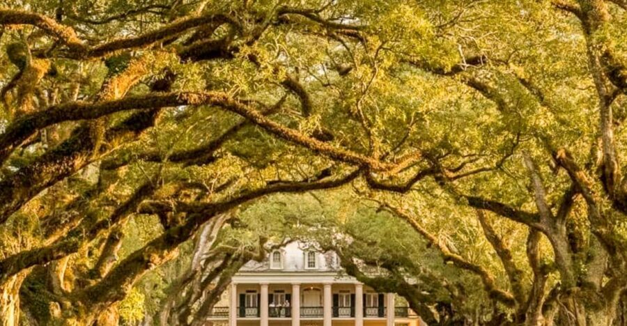 From New Orleans: Oak Alley Plantation Tour - Pick-Up and Transport Logistics in New Orleans