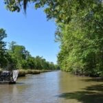 From New Orleans: Whitney Plantation and Airboat Tour Combo - From Plantation to Swamp: Transition and Travel