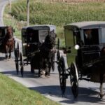 From New York City: Philadelphia & Amish Community Day Trip - Starting in New York City and Moving to Philadelphia