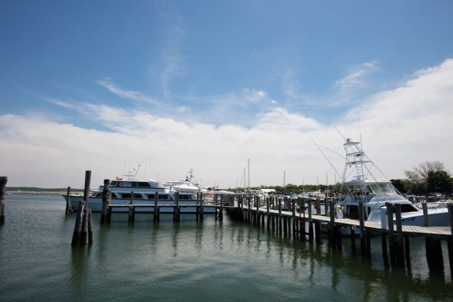 From NYC: Hamptons, Sag Harbor, and Outlet Shopping Day Trip - Scenic Drive Through Long Island Countryside