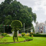 From Oaxaca: City, Mitla, and Mezcal Factory Tour - From Oaxaca City to the Majestic El Tule Tree