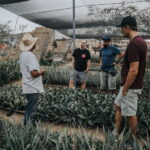 From Oaxaca : Crafts & Cuisine All Included Guided Tour - Visiting Pottery Families and Learning Traditional Techniques