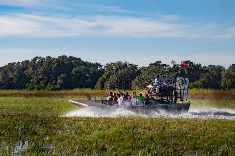 From Orlando: Swamp Airboat Ride and Gatorland Entry - Starting Point at Boggy Creek Airboat Rides