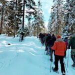 From Oslo: Oslomarka Forest Guided Snowshoeing Tour - Exploring the Oslomarka Forest with a Local Guide