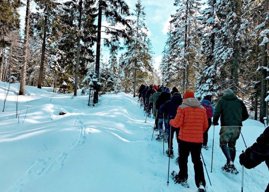 From Oslo: Oslomarka Forest Guided Snowshoeing Tour - Exploring the Oslomarka Forest with a Local Guide