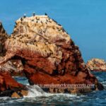 From Paracas: Ballestas Islands tour all Inclusive - Scenic Speedboat Transits to the Islands