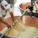 From Parma: Parmigiano Reggiano Farm Tour & Tasting with Transfer - Visiting a Traditional Caseficio in Parma