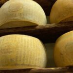 From Parma: Parmigiano,Prosciutto and winery Tour and tasting - Exploring Parma Ham Production in Langhirano