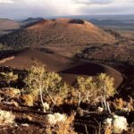 From Phoenix: Private Custom Flagstaff Day Tour - Exploring Flagstaff’s Mountain Town Charm