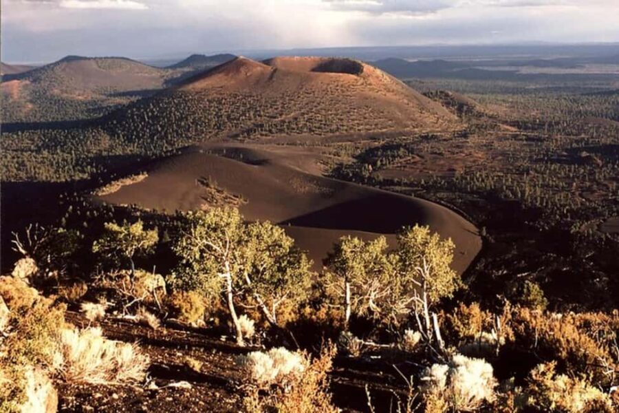 From Phoenix: Private Custom Flagstaff Day Tour - Exploring Flagstaff’s Mountain Town Charm