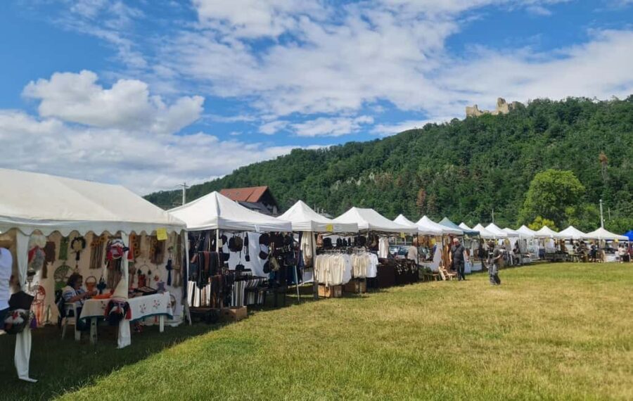 From Piatra Neam: Neam Citadel and Târgu Neam Guided Tour - Starting Point and Transportation to Neam County