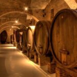 From Pisa or Lucca: Half-Day Tuscany Chianti Wine Tasting - Visiting a Countryside Winery in Chianti