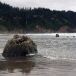 From Portland: Oregon Coast Day Trip to Three Capes Loop - Exploring the Three Capes Scenic Drive