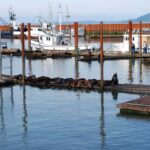 From Portland: Oregon Coast Scenic Day Tour - Pickup and Transportation from Portland