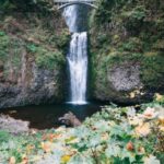 From Portland: Waterfalls, Mt Hood, and Wine Day Tour - Visit to Bonneville Fish Hatchery and Sturgeon Viewing Center