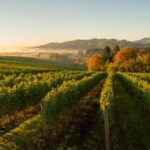 From Portland: Willamette Valley Wine Tasting Tour - Scenic Drive Along the Vineyard and Valley Scenic Route