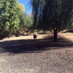 From Portland: Willamette Valley Wine & Whisky - Visiting top-rated vineyards in Oregons signature wine region